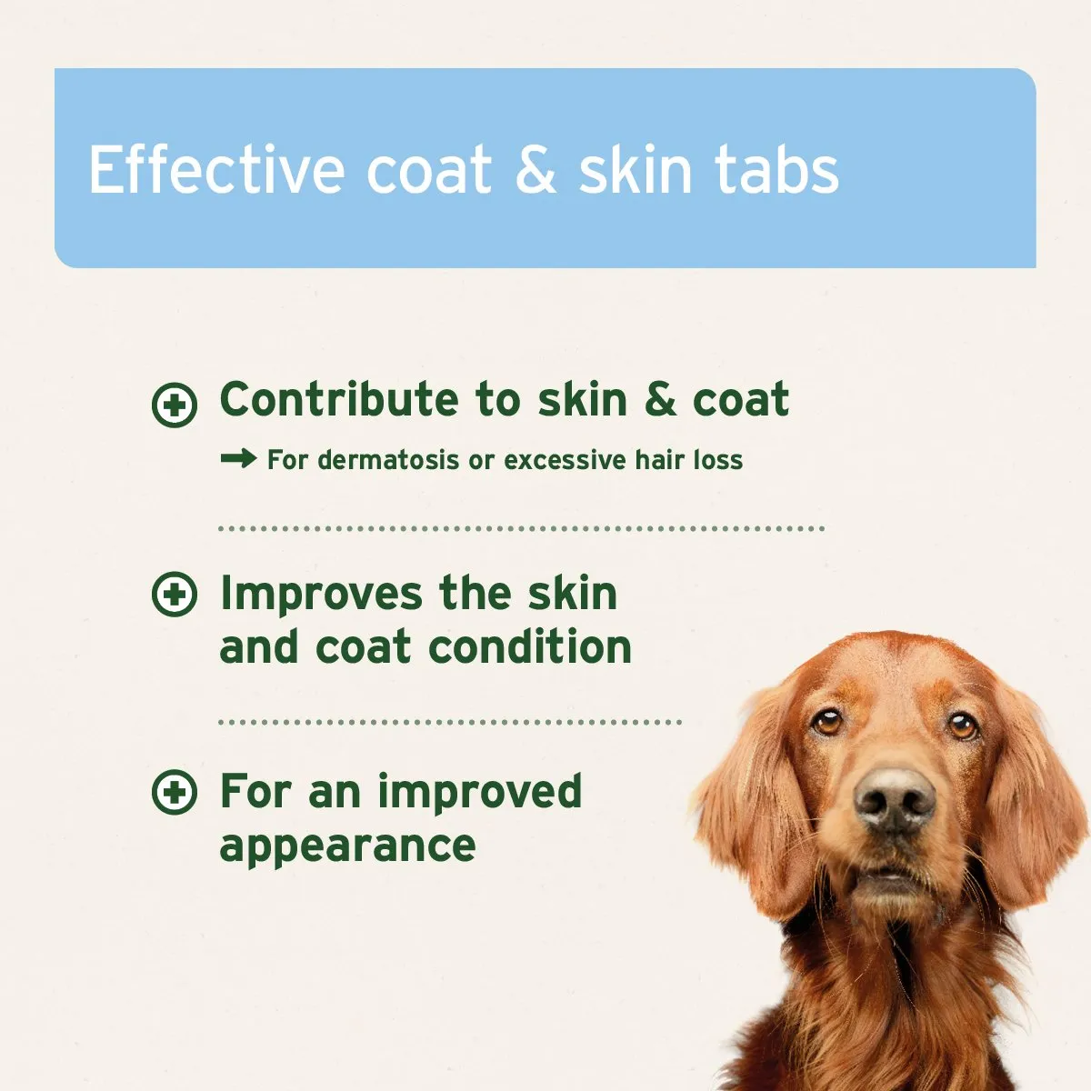 Aniforte® plus Coat & Skin