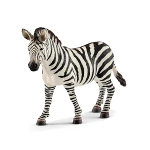 Zebra mare